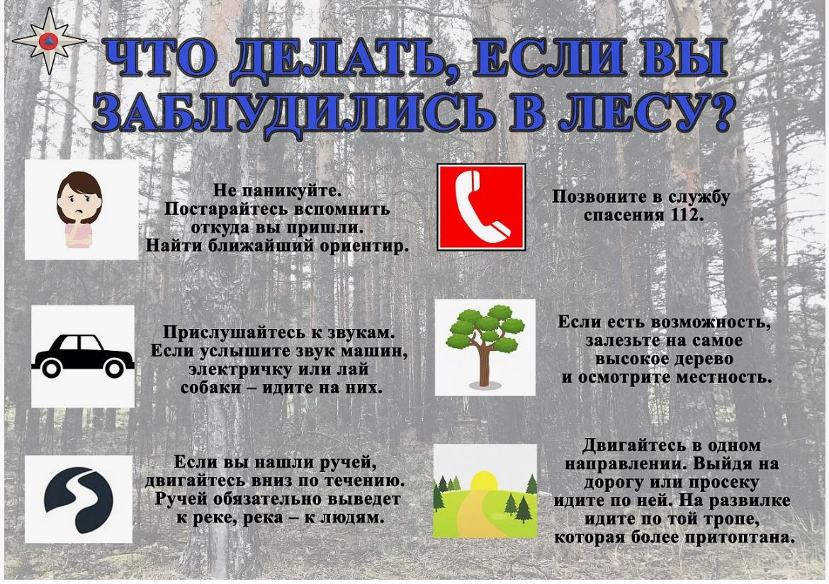 памятка если заблудился в лесу.