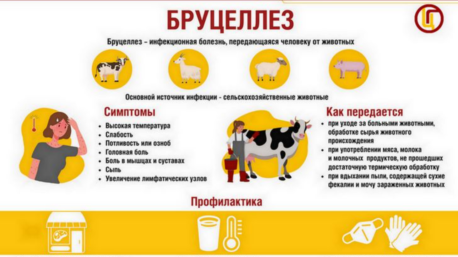 Бруцеллёз.