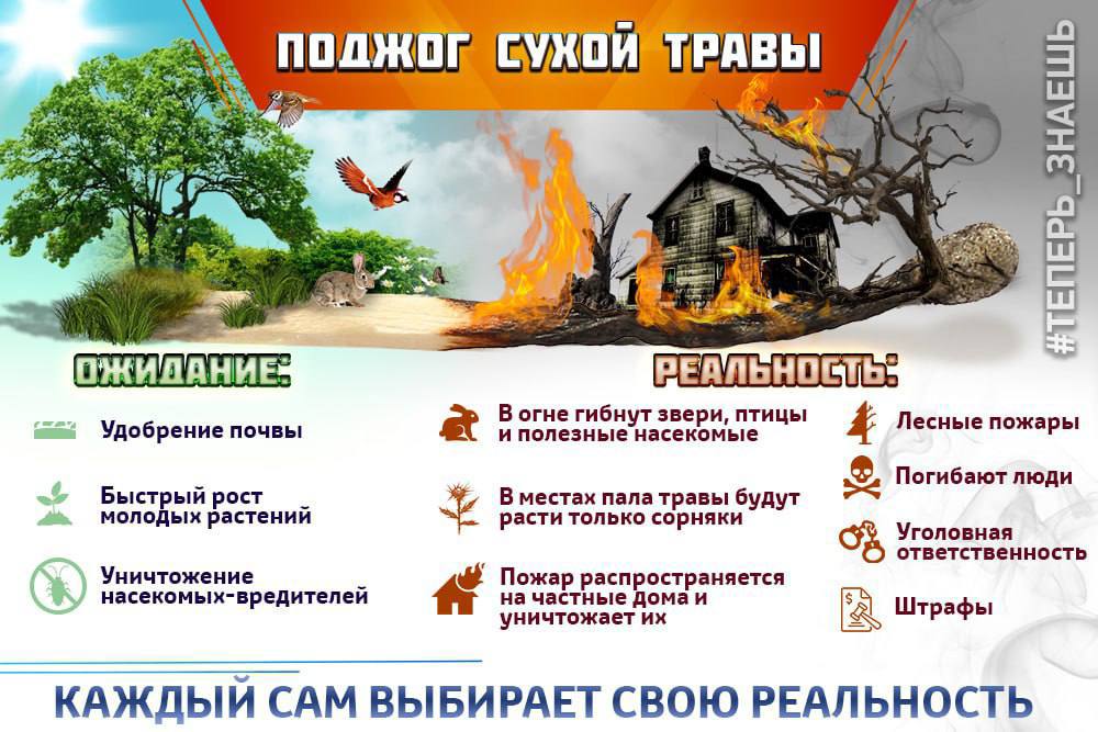 Информация.
