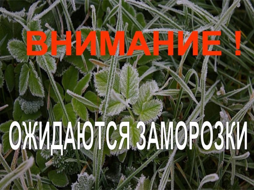 Экстренное предупреждение о вероятном возникновении ЧС.