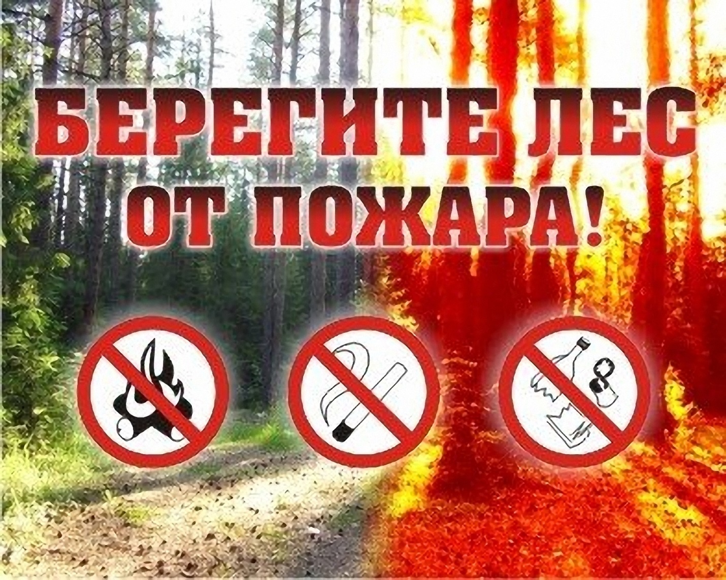 Берегите лес от пожара!.