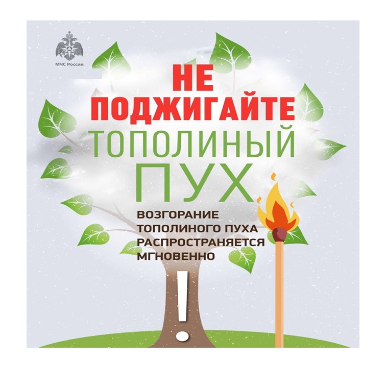 Не поджигайте тополиный пух.