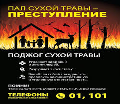 Анализ оперативной обстановки.