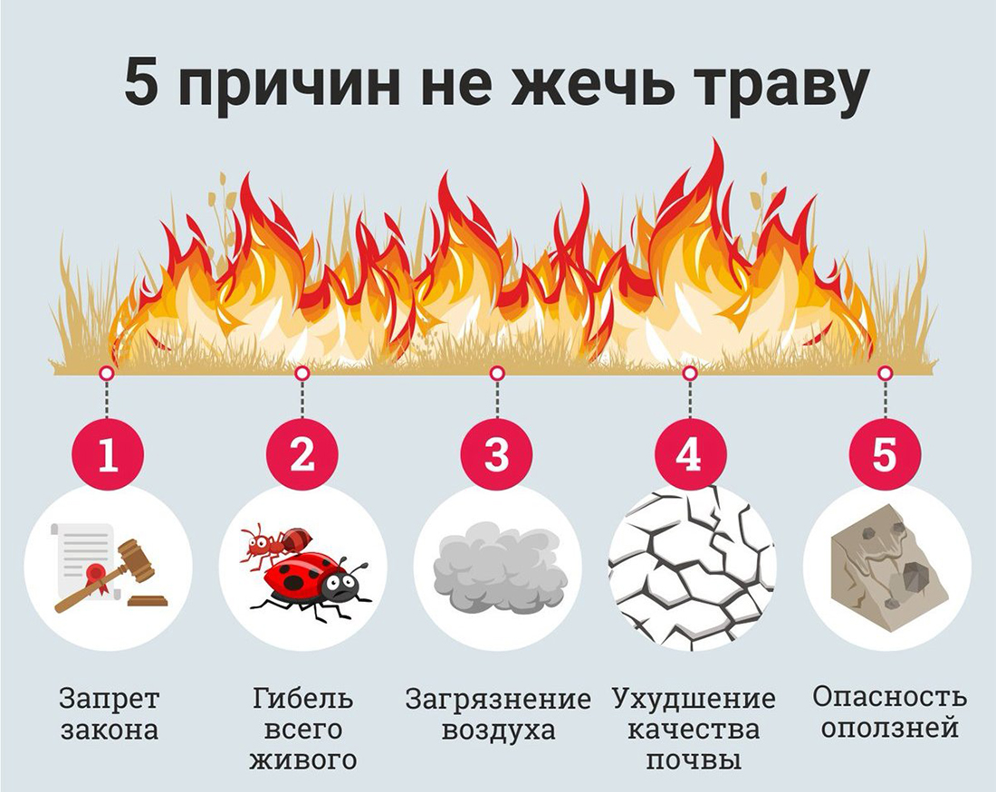 Обращение к населению! Не жгите сухую траву!.
