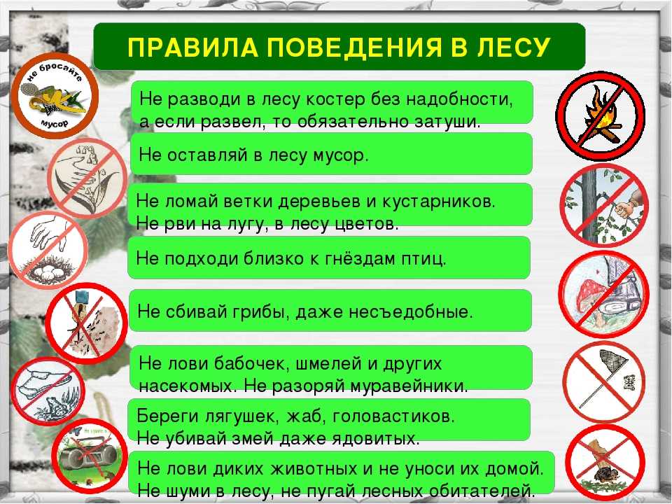 Анализ оперативной обстановки.