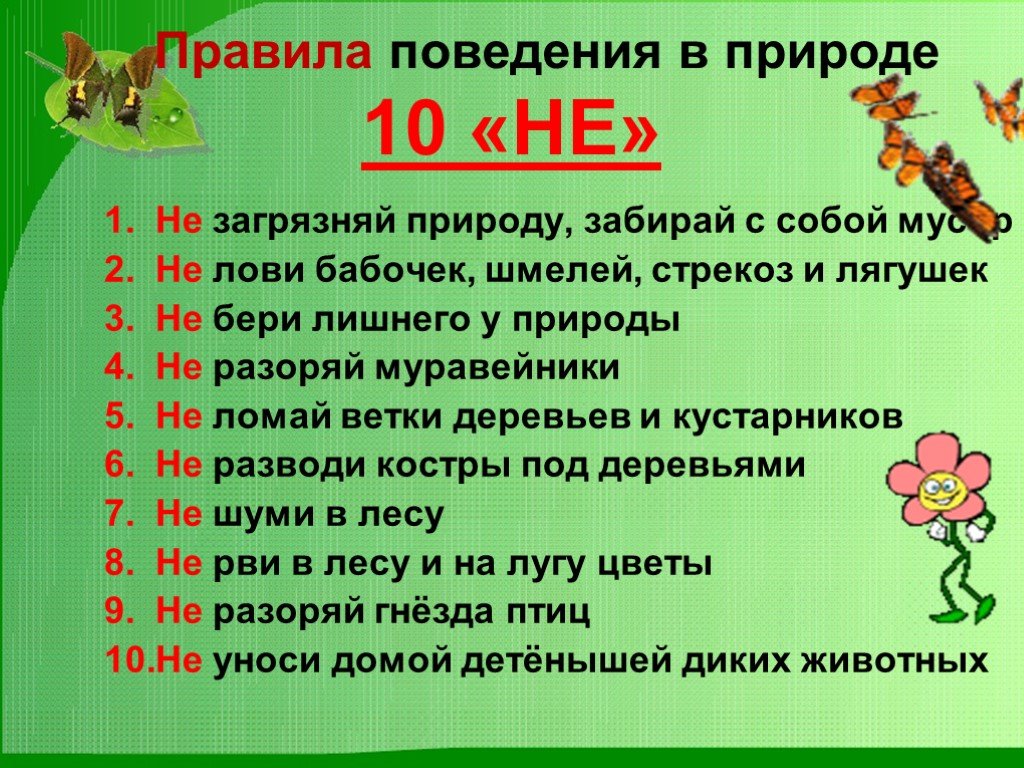 Основные правила поведения в лесу.