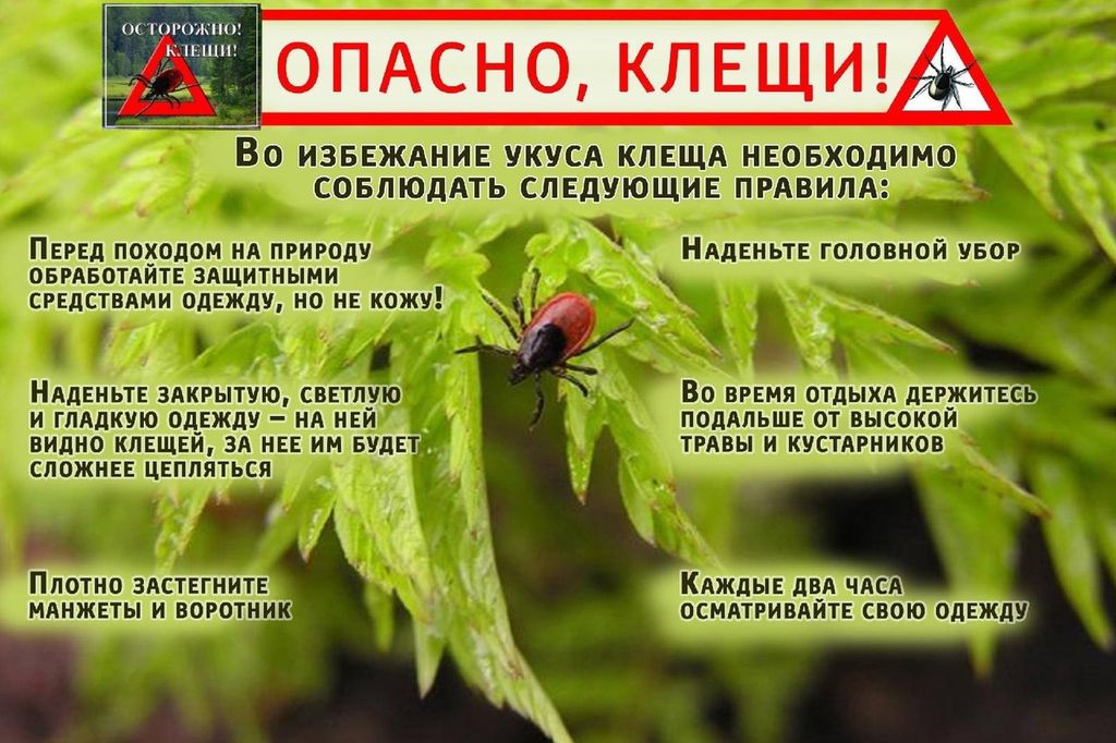 Правила защиты от укусов клещей.