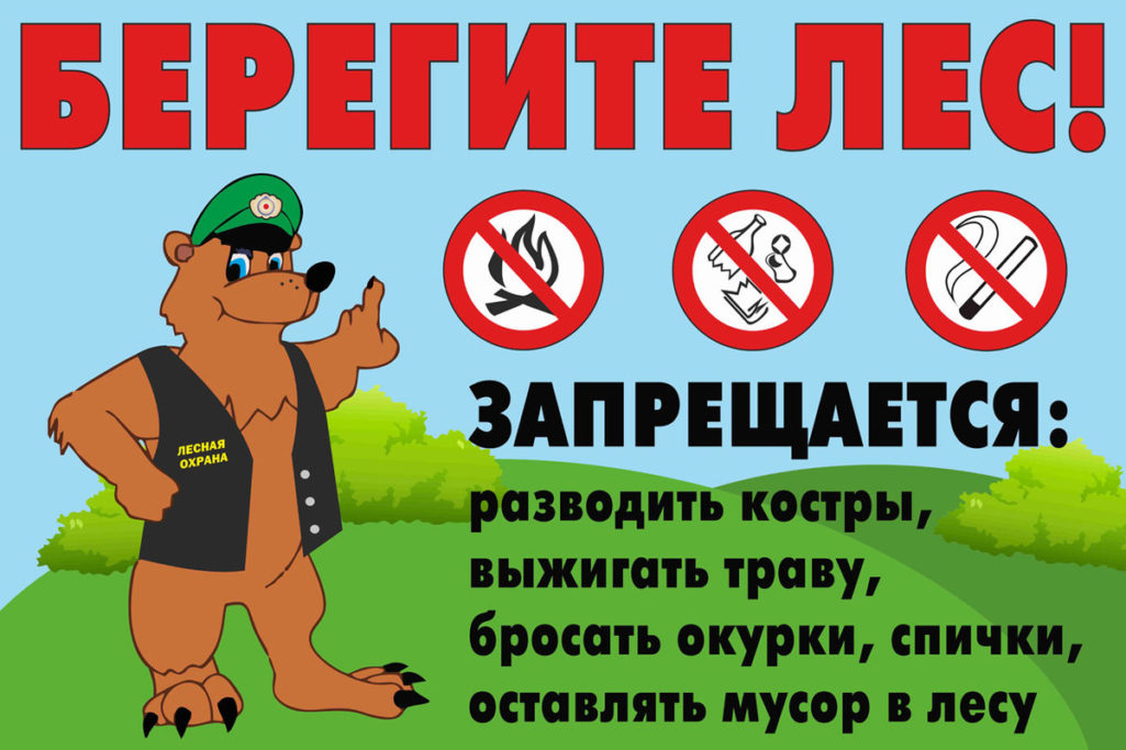 Безопасгность в лесу.