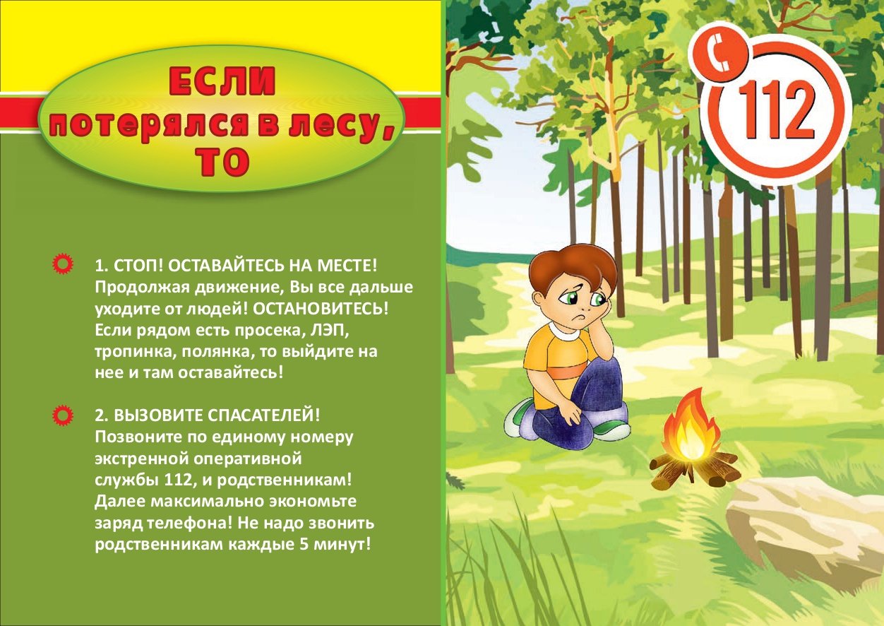 10 правил как не заблудиться в лесу.