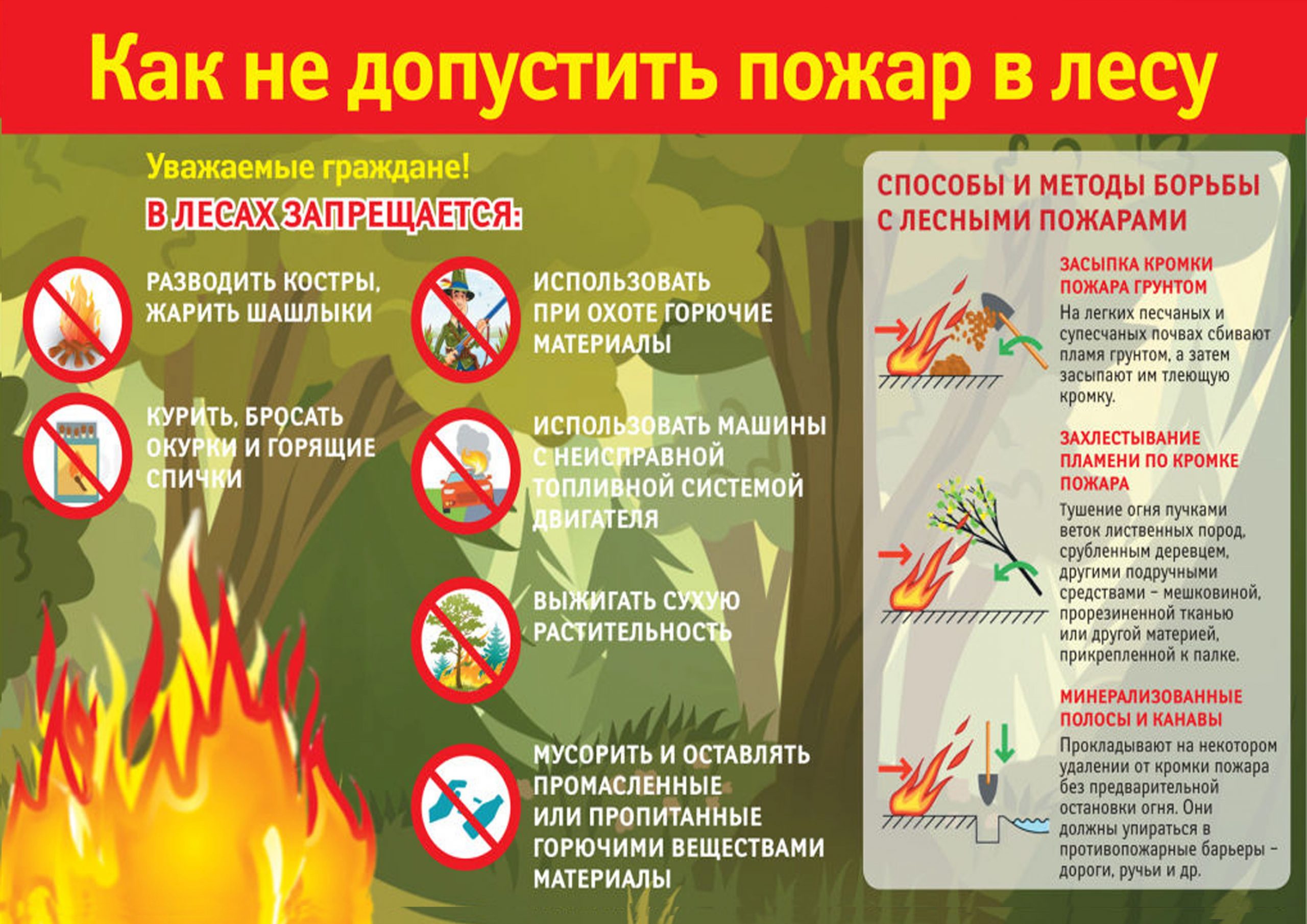 Как не лопустить пожар в лесу.