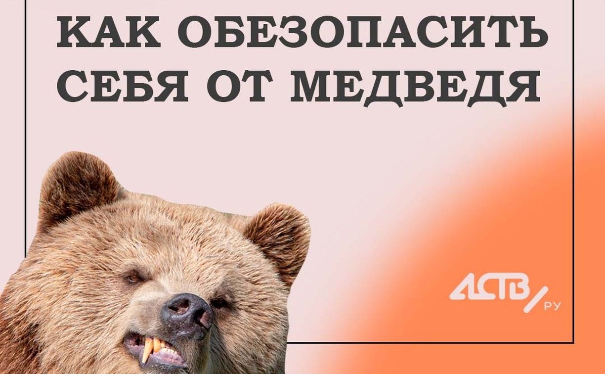 Как избежать встречи с медведем и что делать, если она произошла.