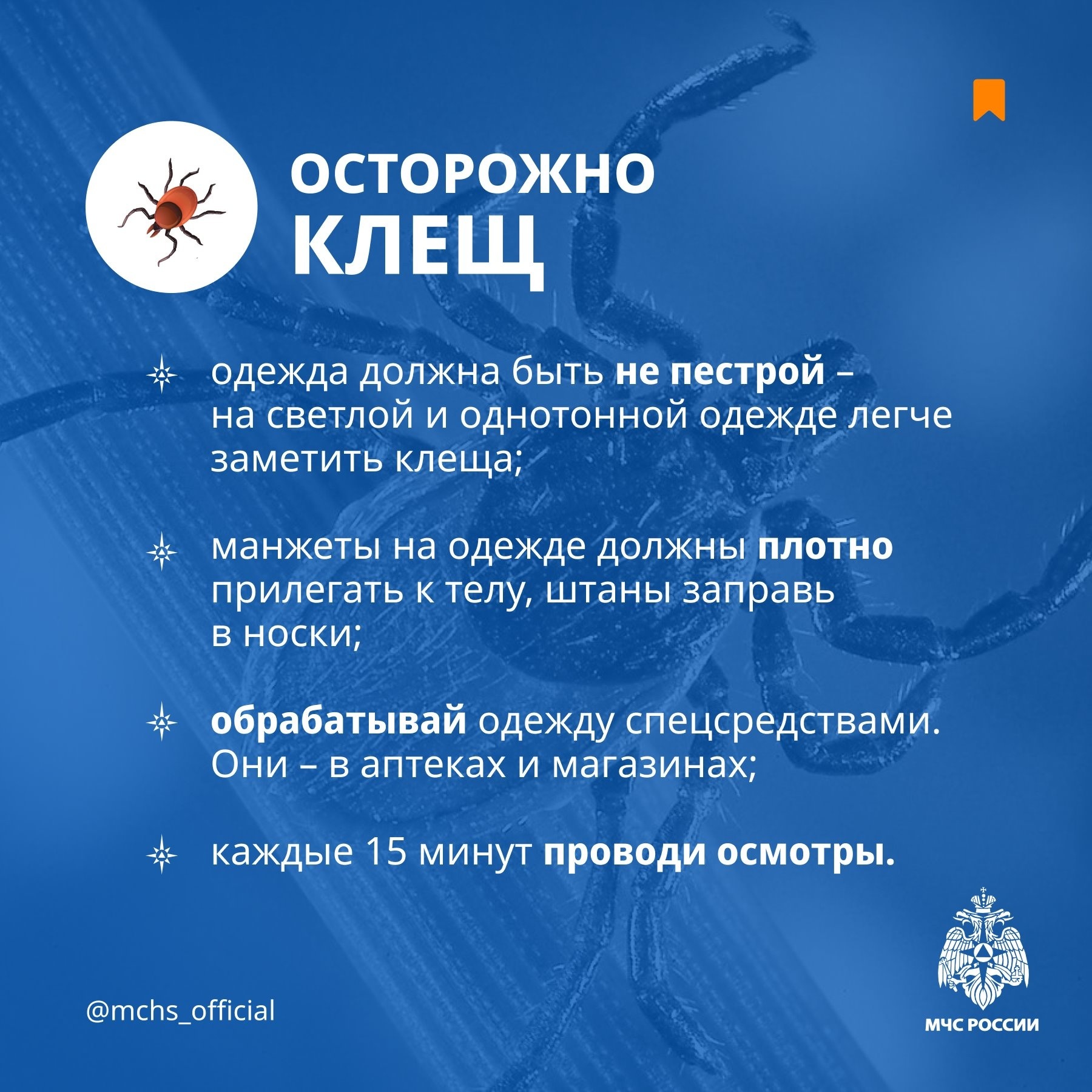 Правила посещения лесов, парков и лесопарков в период активности клещей.