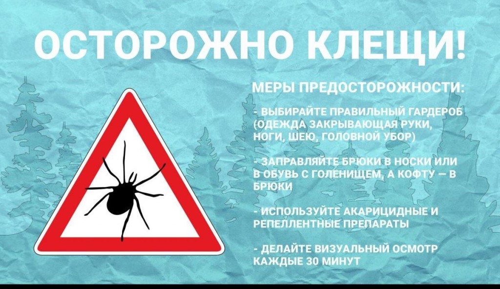 ОСТОРОЖНО, КЛЕЩИ!.