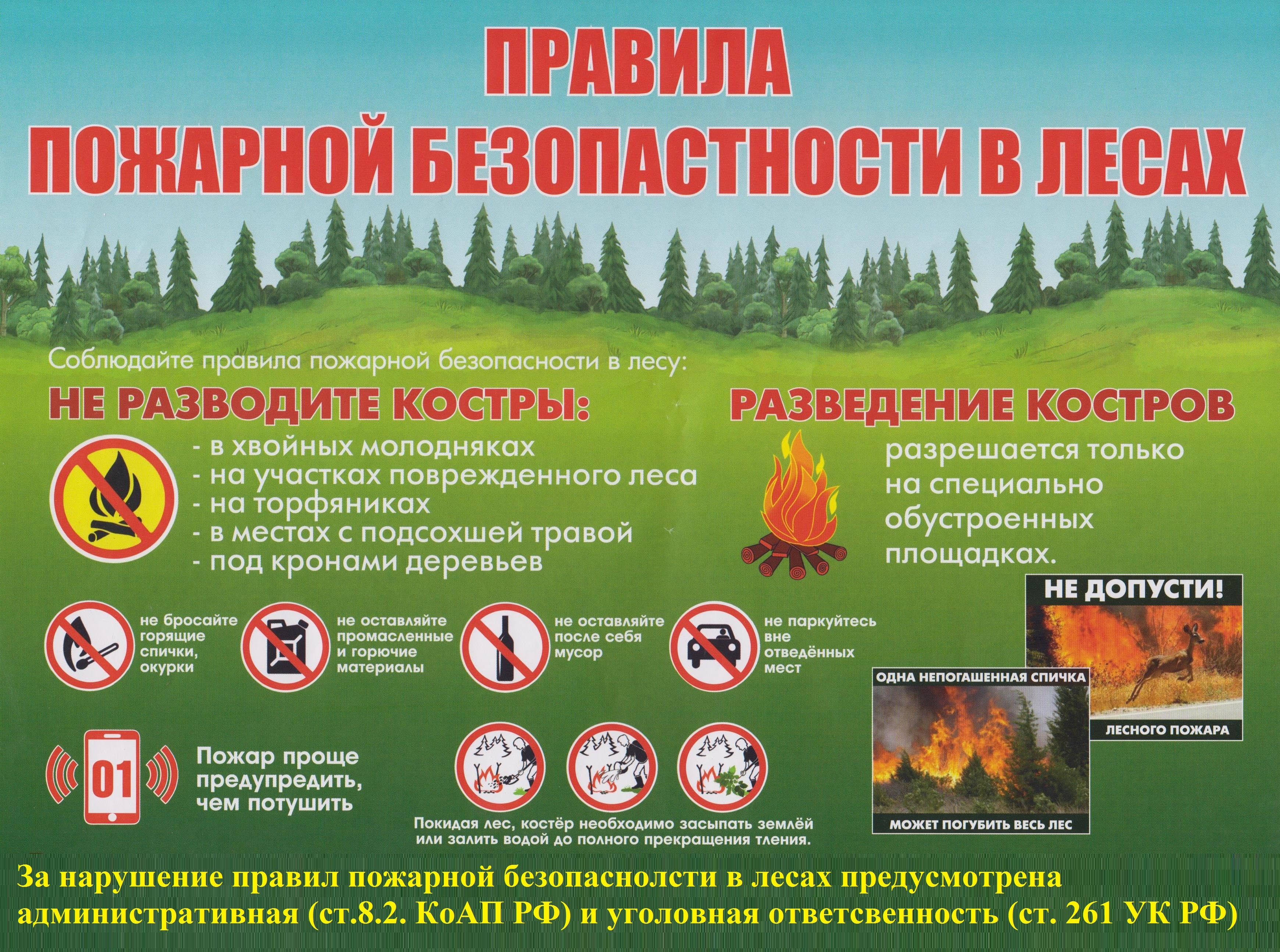 Правило поведения  в лесу.