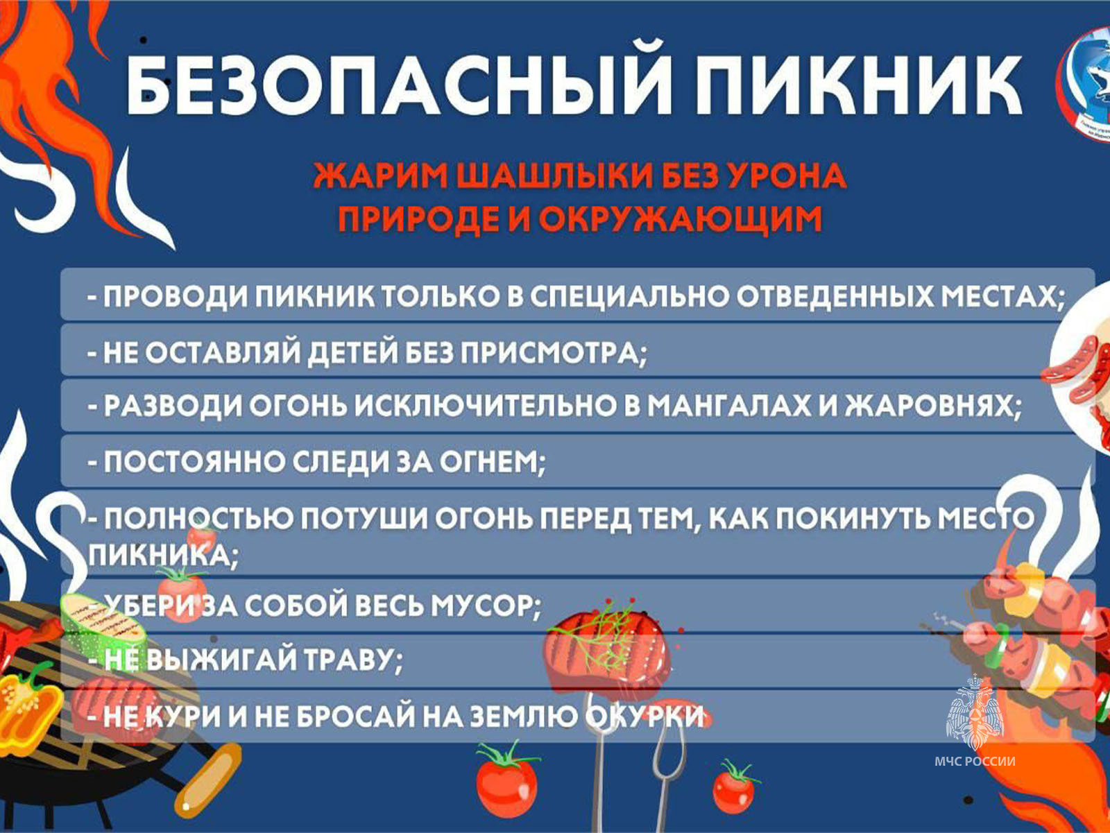 Памятка о правилах противопожарной безопасности выезжающим на природу..