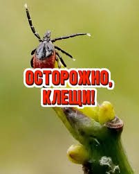 Осторожно клещи.