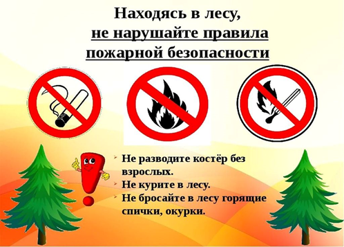 Правила пожарной безопасности в лесу.