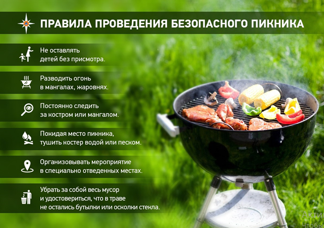 10 простых правил безопасного пикника на природе.