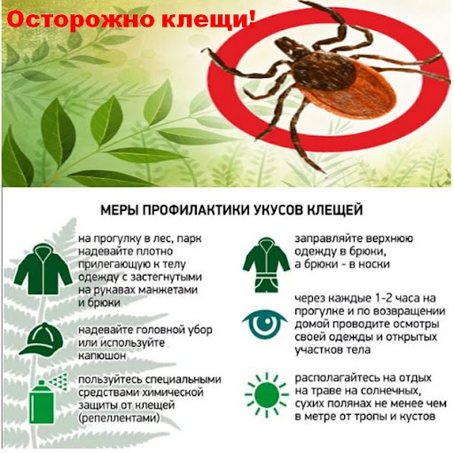 Памятка «Осторожно, клещи!».