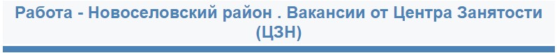 Ссылка на официальный сайт Новоселовского Центра занятости населения.