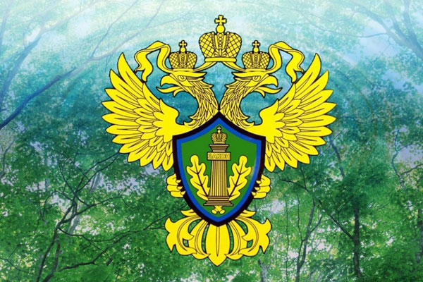 КРАСНОЯРСКАЯ ПРИРОДООХРАННАЯ ПРОКУРАТУРА ИНФОРМИРУЕТ.