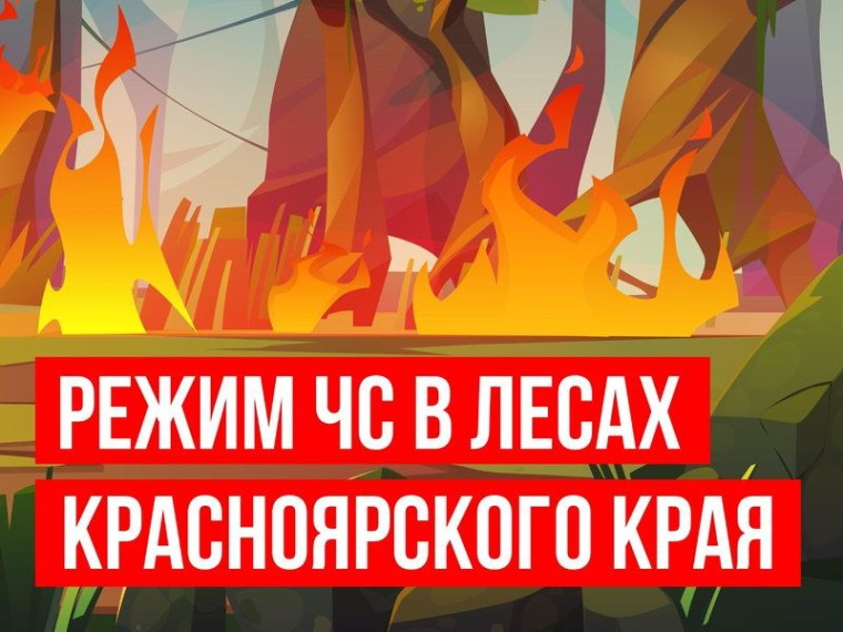 В лесах Красноярского края ввели режим чрезвычайной ситуации. В лесах Красноярского края ввели режим чрезвычайной ситуации.