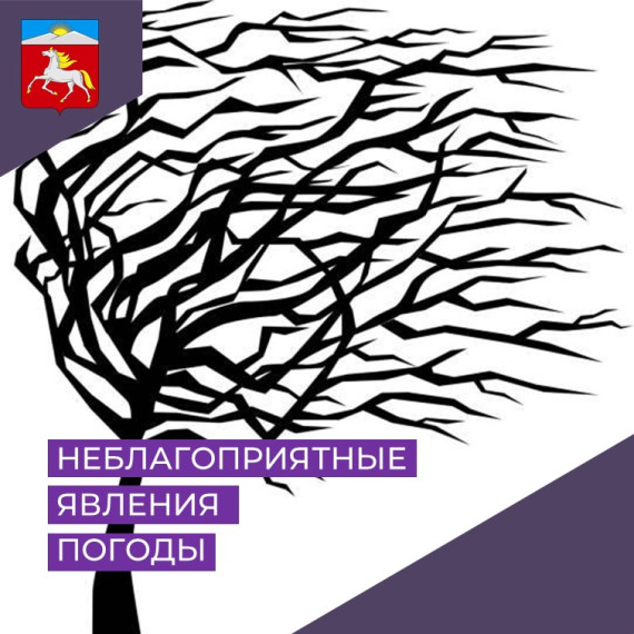 ПРЕДУПРЕЖДЕНИЯ О НЕБЛАГОПРИЯТНЫХ ЯВЛЕНИЯХ ПОГОДЫ. ПРЕДУПРЕЖДЕНИЯ О НЕБЛАГОПРИЯТНЫХ ЯВЛЕНИЯХ ПОГОДЫ.