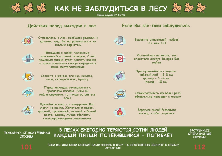Как не заблудиться в лесу. Как не заблудиться в лесу.