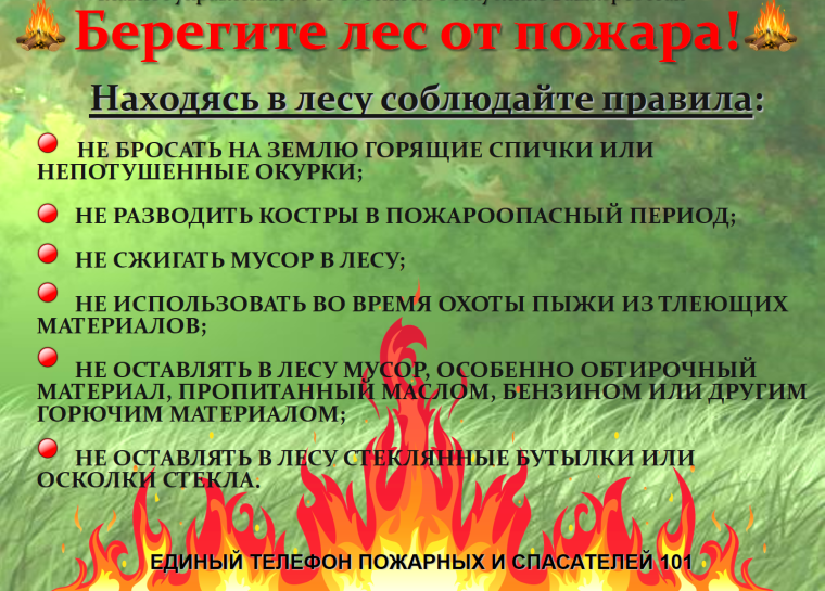 Берегите лес от пожара!. Берегите лес от пожара!.