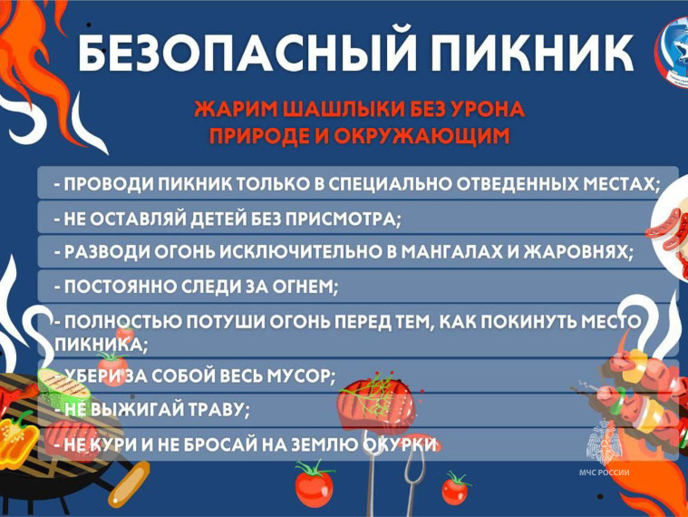 Памятка о правилах противопожарной безопасности выезжающим на природу.. Памятка о правилах противопожарной безопасности выезжающим на природу..