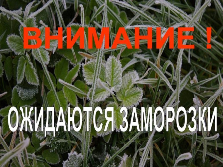 Экстренное предупреждение о вероятном возникновении ЧС. Экстренное предупреждение о вероятном возникновении ЧС.