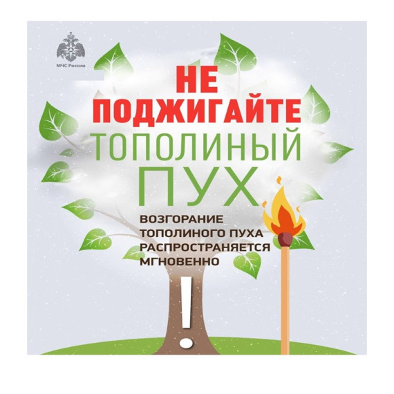 Не поджигайте тополиный пух. Не поджигайте тополиный пух.