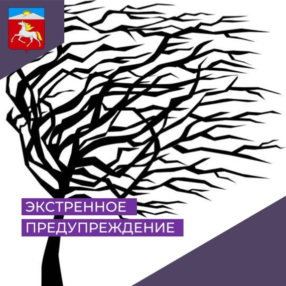 Экстренное предупреждение. Экстренное предупреждение.