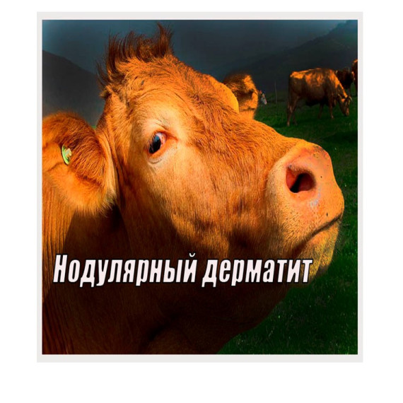 ПРЕДУПРЕЖДЕНИЯ О НЕБЛАГОПРИЯТНЫХ ЯВЛЕНИЯХ ПОГОДЫ. ПРЕДУПРЕЖДЕНИЯ О НЕБЛАГОПРИЯТНЫХ ЯВЛЕНИЯХ ПОГОДЫ.