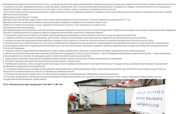 Внимание карантин. Внимание карантин.