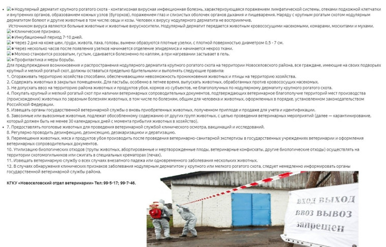 Заразный дерматит. Заразный дерматит.