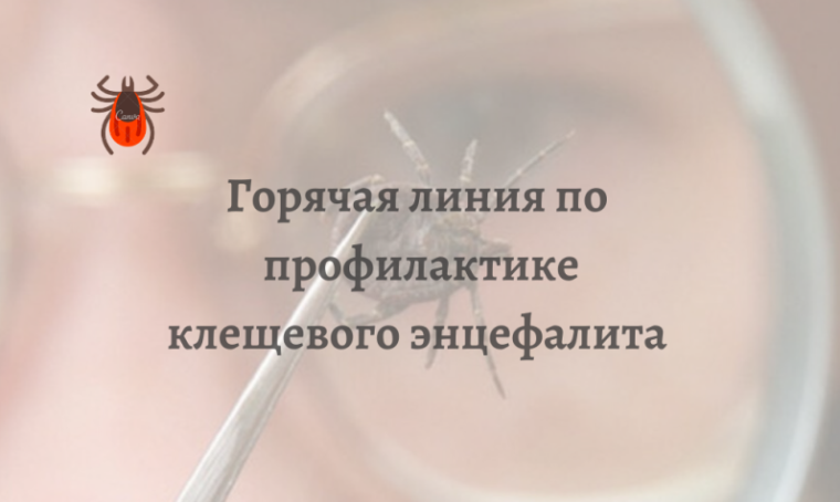 «Горячая линия» по вопросам профилактике клещевого энцефалита и инфекций, передающихся клещами. «Горячая линия» по вопросам профилактике клещевого энцефалита и инфекций, передающихся клещами.